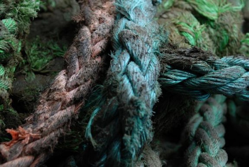 20090430_sghinescu_34