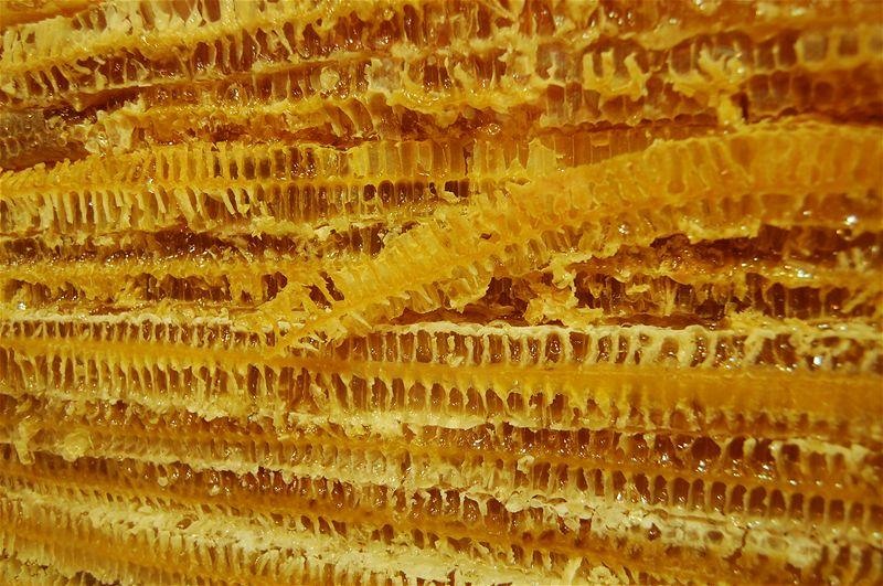 20090430_gmihaila_01