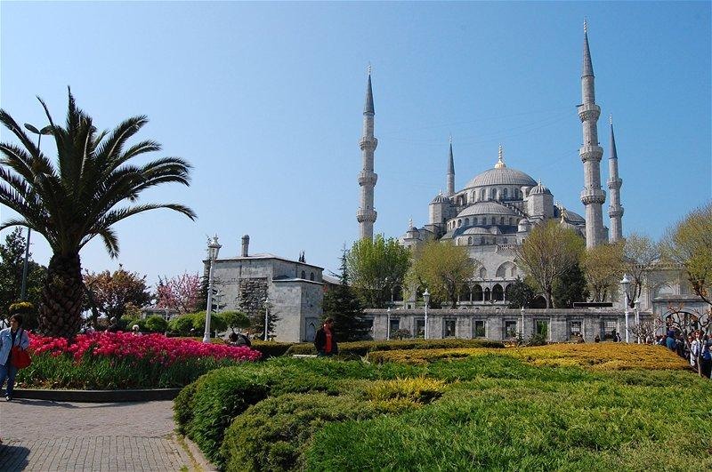 20090430_gmihaila_05