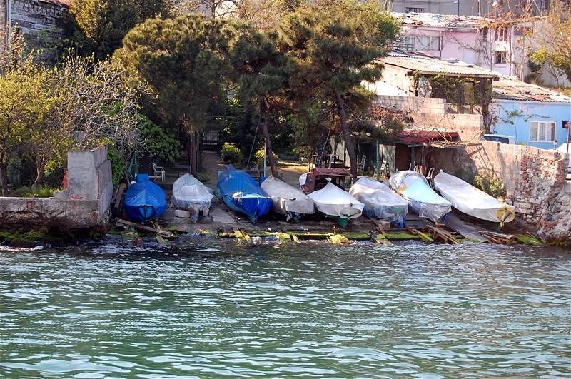 20090430_gmihaila_18