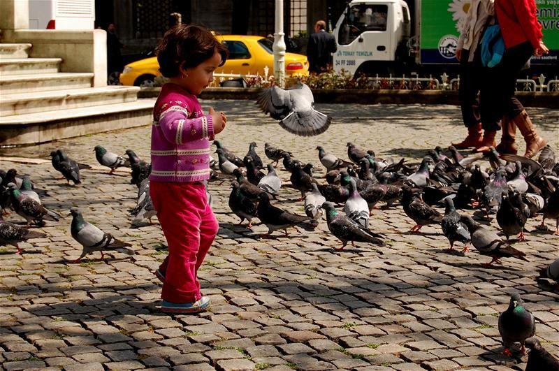 20090430_gmihaila_22