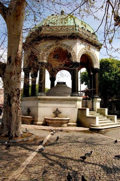 20090430_gmihaila_23