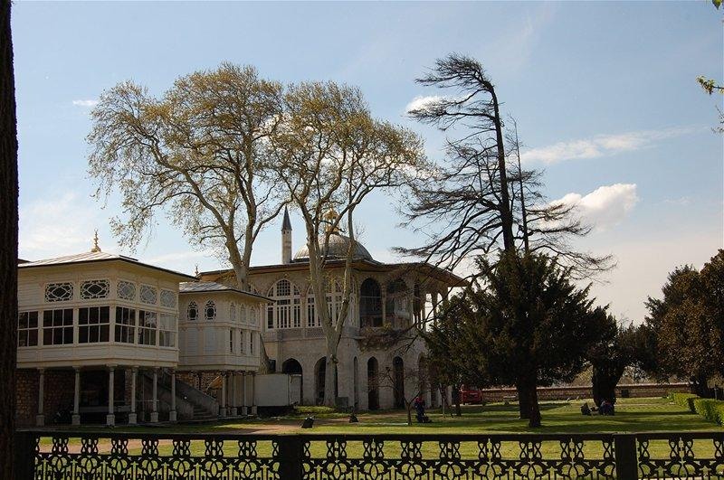 20090430_gmihaila_50