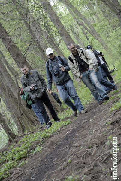 padure_by_zimbrulcarpatin