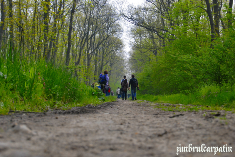 turma_foto_by_zimbrulcarpatin