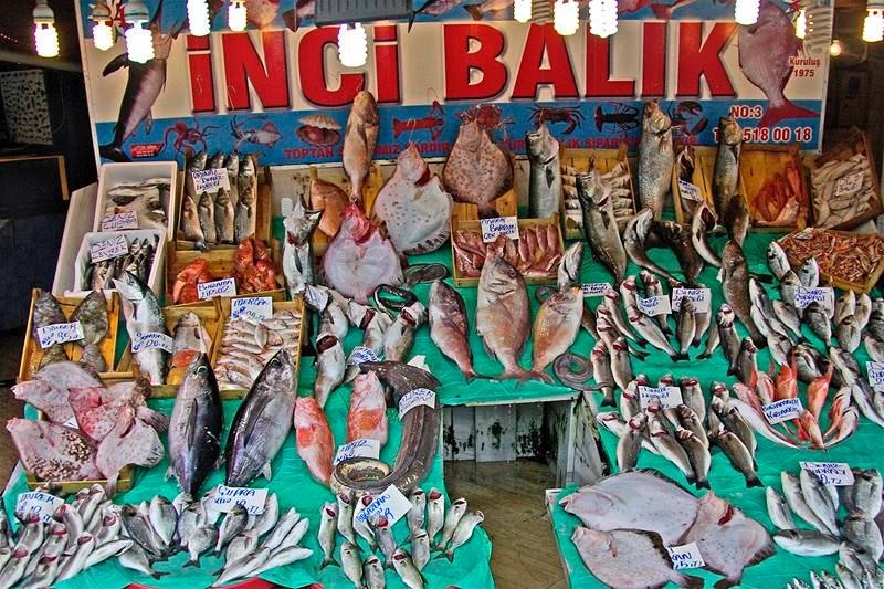 20090430_svornicu_18