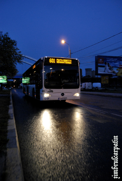 601_by_zimbrulcarpatin