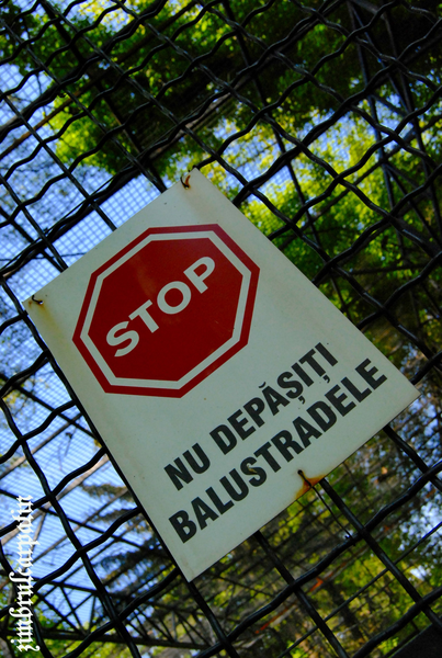 stop_by_zimbrulcarpatin