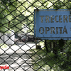trecerea_oprita_by_zimbrulcarpatin
