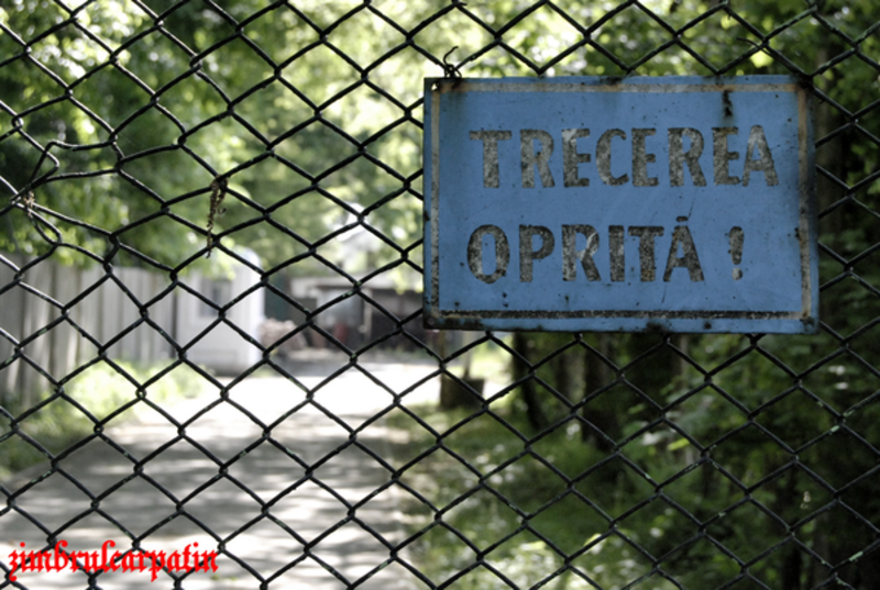 trecerea_oprita_by_zimbrulcarpatin