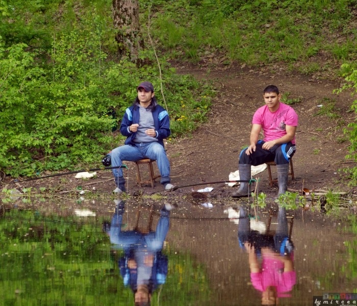 photo-079-padurea-cernica-aprilie-2010