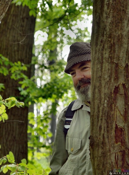 photo-121-padurea-cernica-aprilie-2010