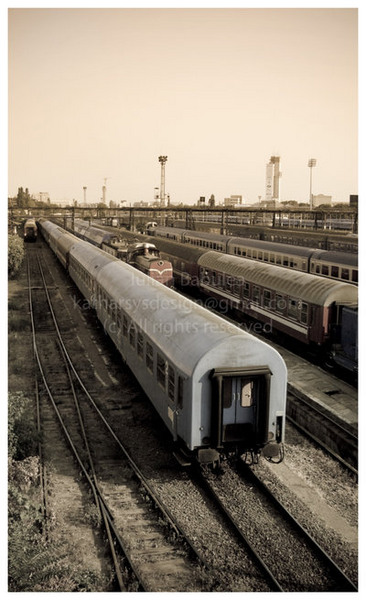 the_right_path_by_iulianb