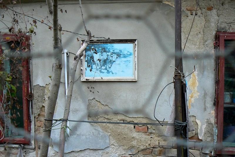 20081221_cristinad_02