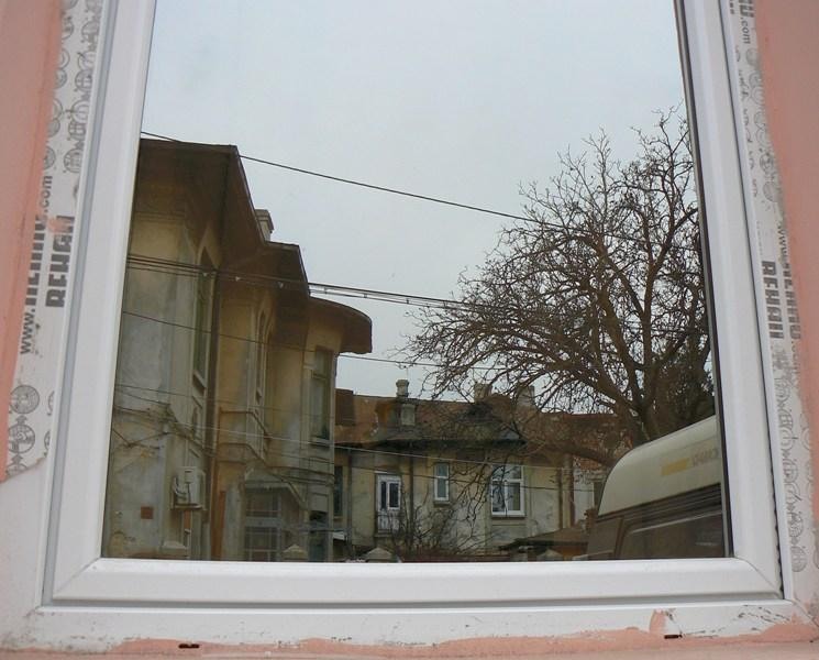 20081221_cristinad_03