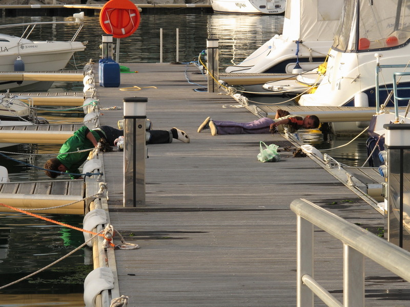 la cules de midii...?