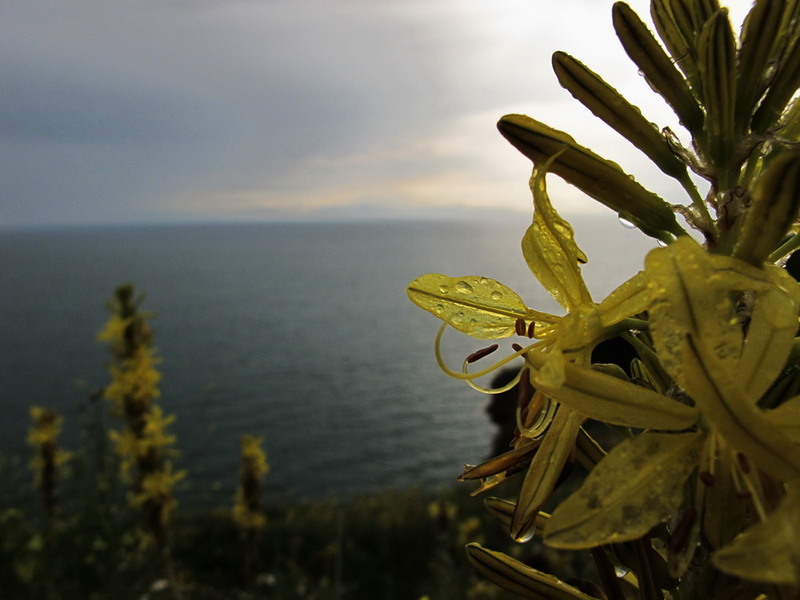 cap Kaliakra pe ploaie