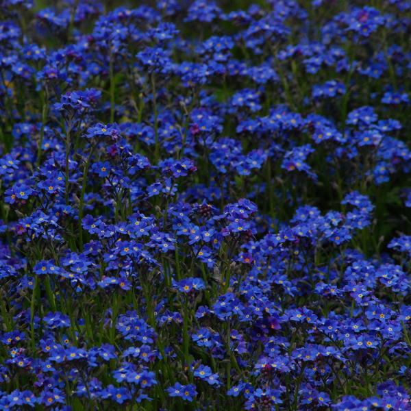 dsc_3092_crop_resize