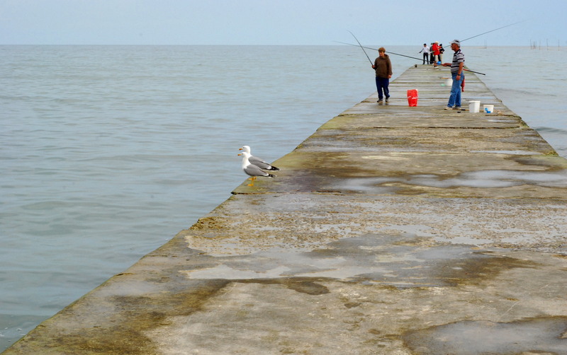 dsc_3188_crop_resize