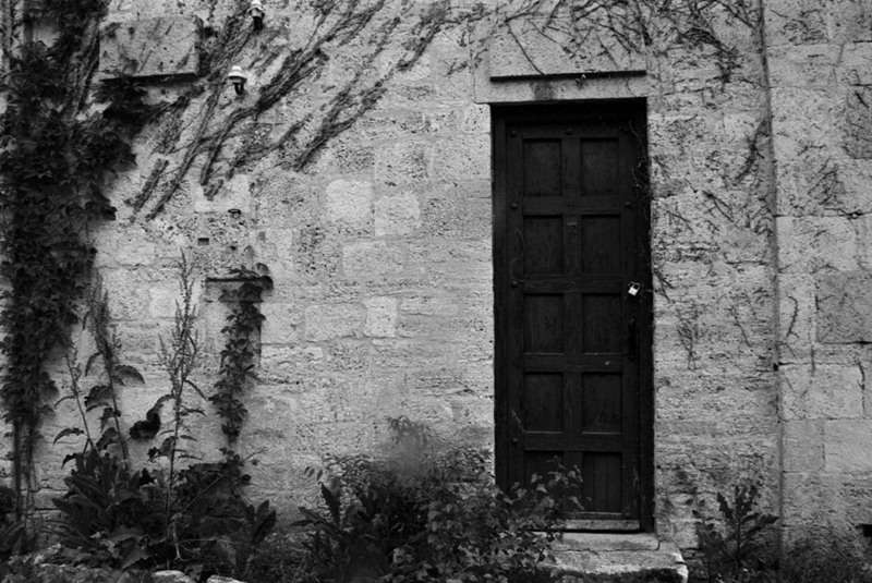 img037mic Kodak Professional TRIX 400TX