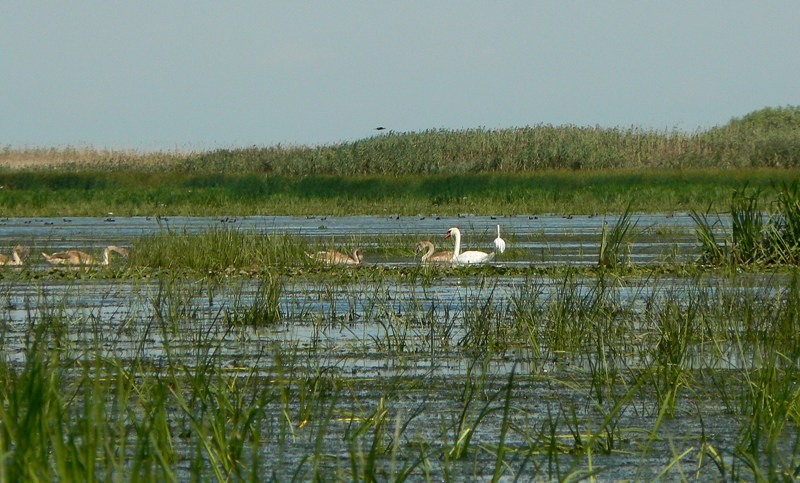 20090902_cdumitru_04