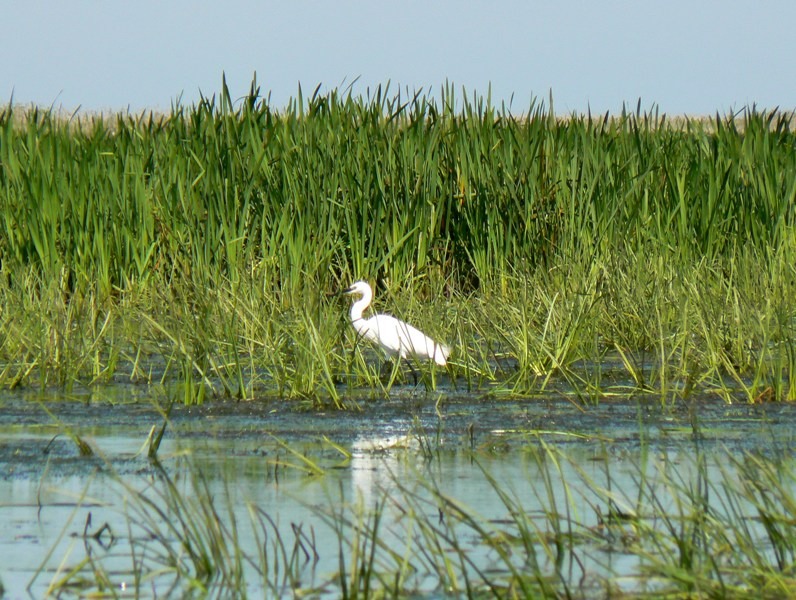 20090902_cdumitru_05