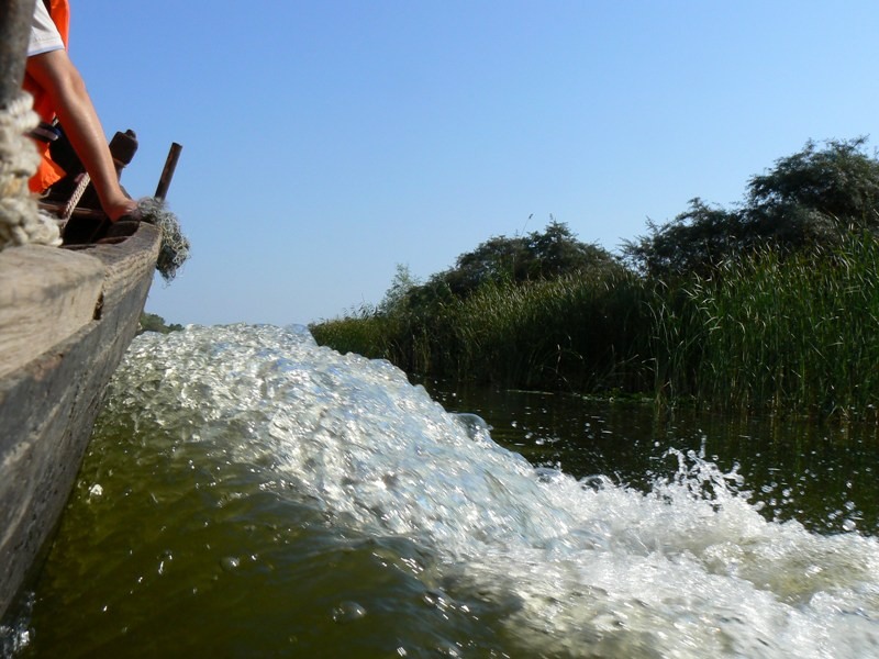 20090902_cdumitru_07