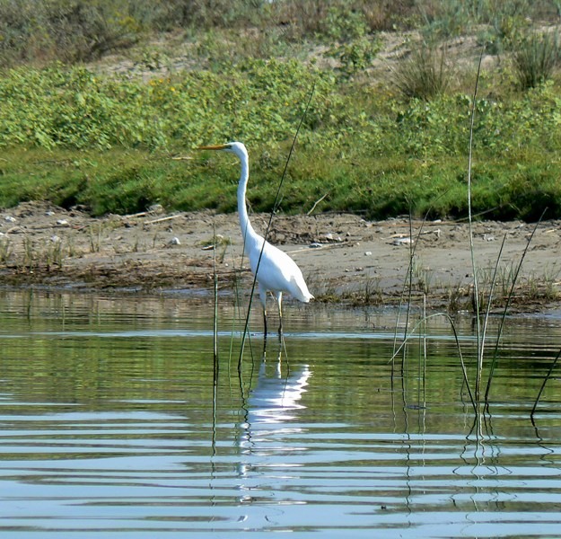 20090902_cdumitru_08