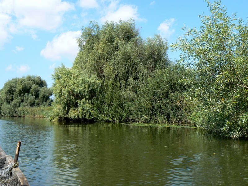 20090902_cdumitru_10