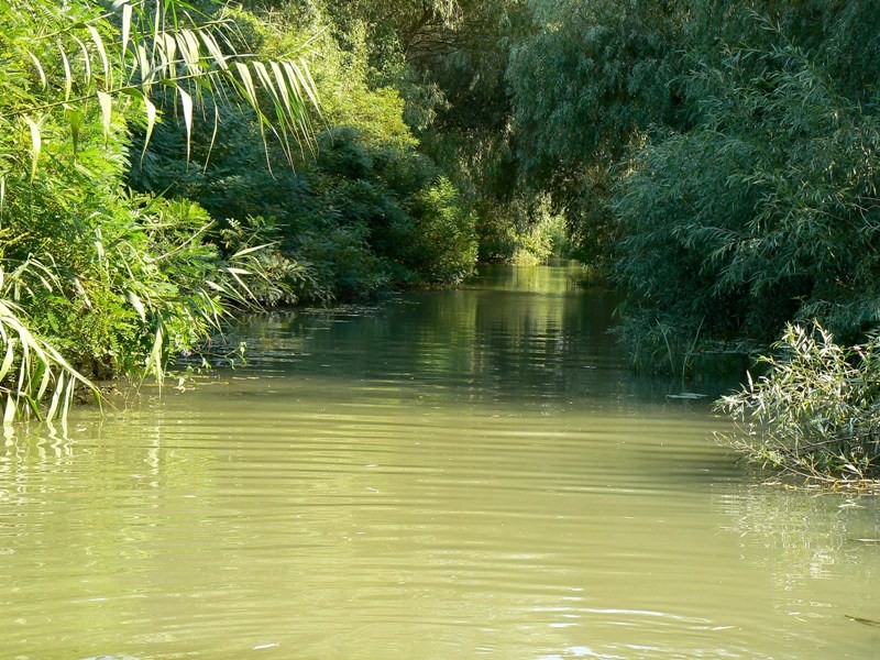 20090902_cdumitru_14