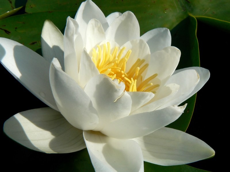 20090902_cdumitru_17