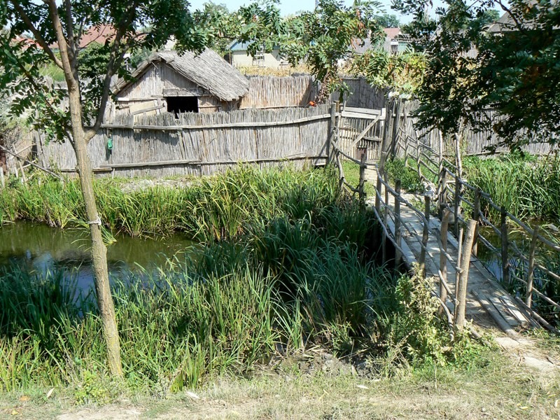 20090902_cdumitru_21