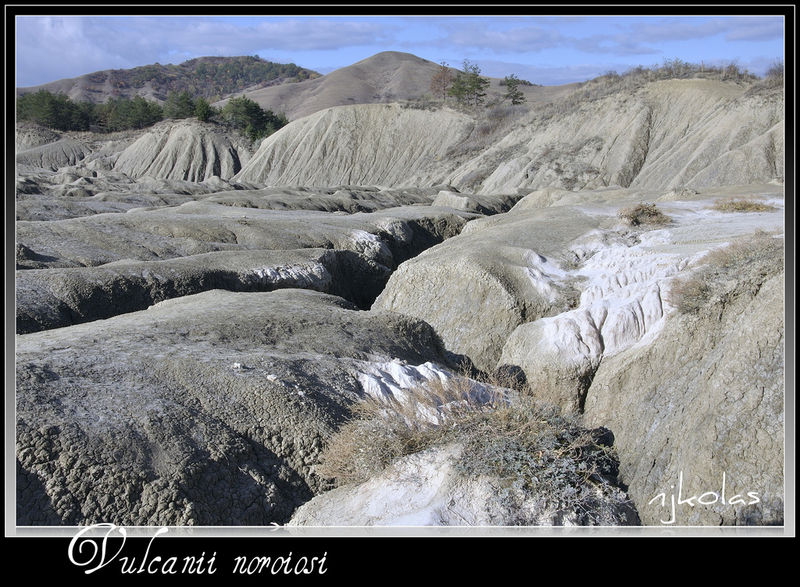 4062849464_23beda179f_b