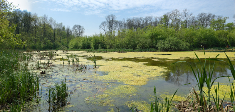 018-a-optishpeaa-mai-tare