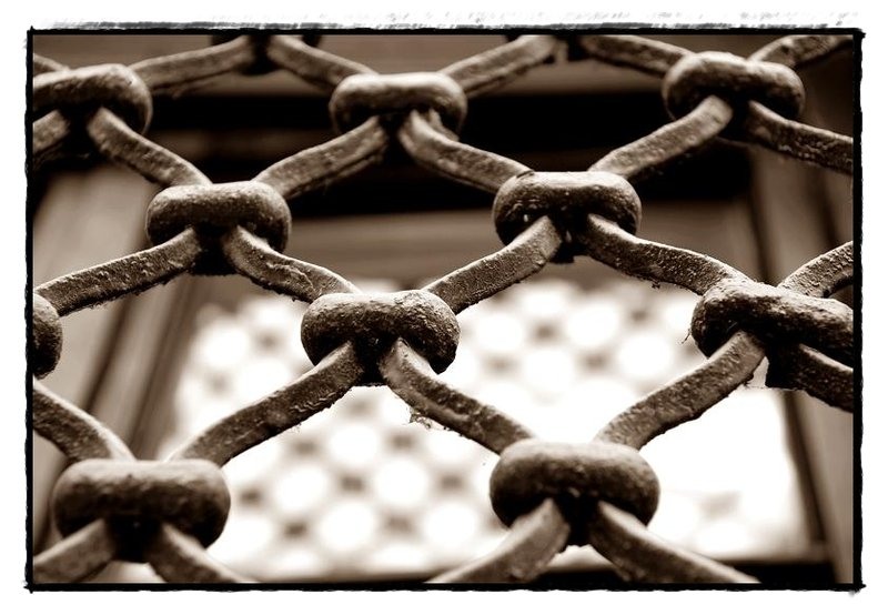 10-detaliu-de-florijianu