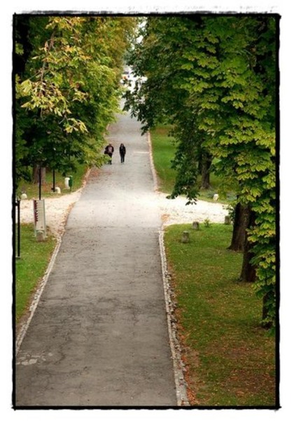 17-bine-ati-venit-de-florijianu