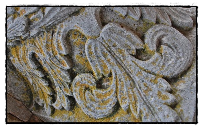 36-flori-de-piatra-de-florijianu