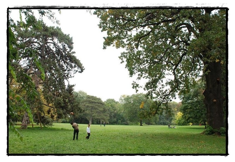 40-joaca-de-florijianu