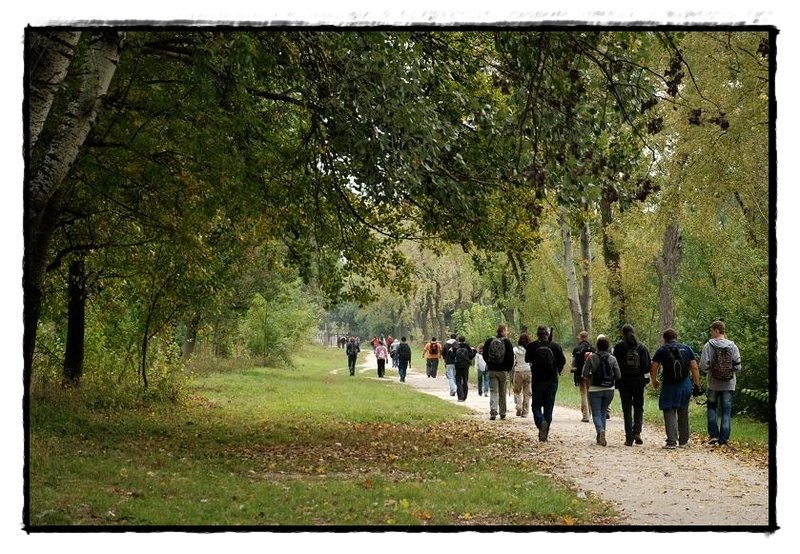 42-plecarea-din-mogosoaia-de-florijianu