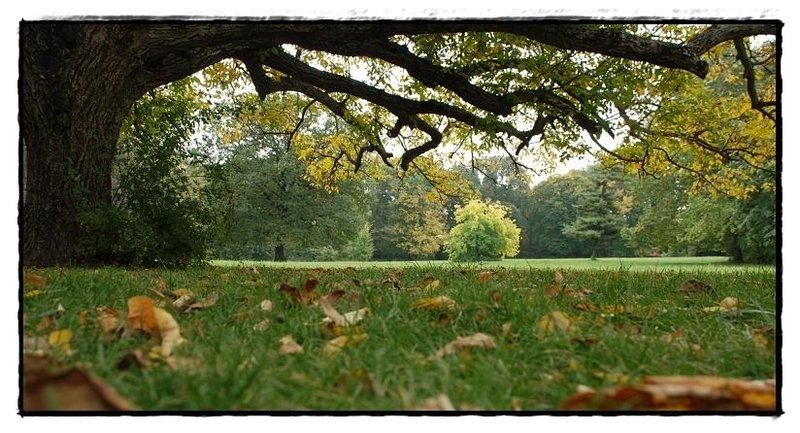 9-domeniul-mogosoaiei-de-florijianu