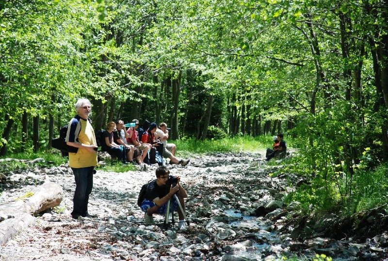 grup-2-by-florijianu