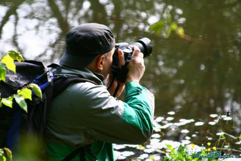 cernica-marcella-dragan-5