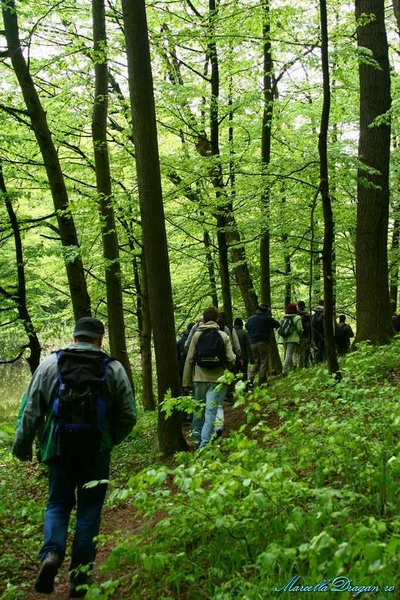 cernica-marcella-dragan-8