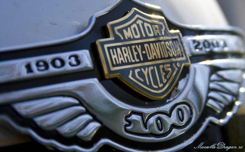 muzeu-aviatie-marcella-dragan-15