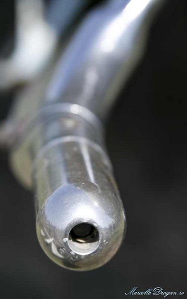 muzeu-aviatie-marcella-dragan-3