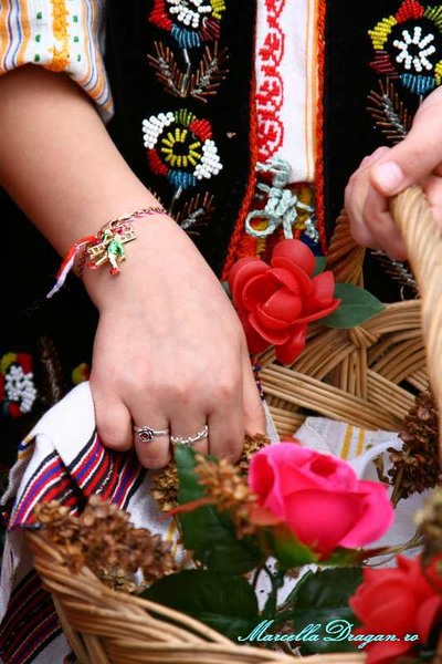 pastele-cailor-marcella-dragan-14