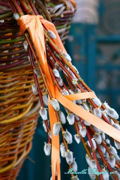 pastele-cailor-marcella-dragan-16