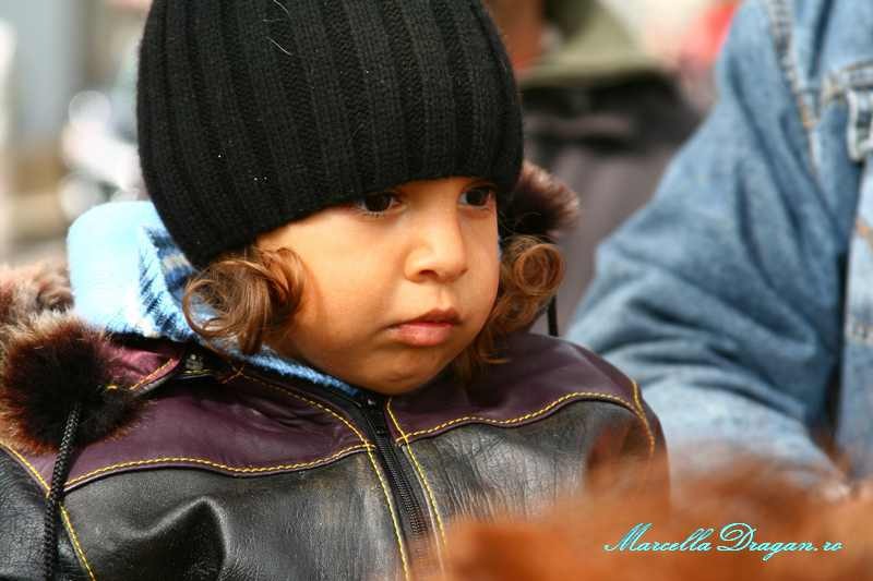 pastele-cailor-marcella-dragan-8