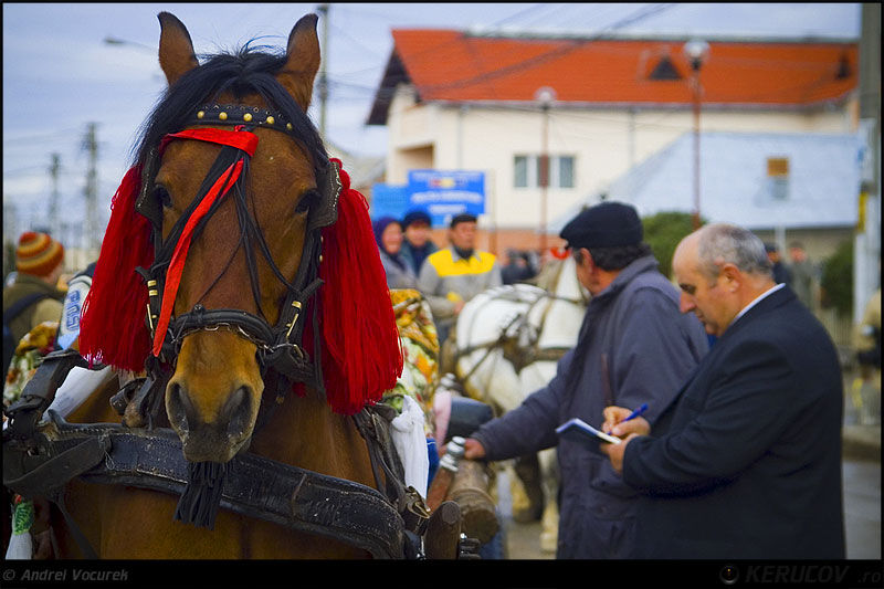 andrei_vocurek_kerucov_orasul_ro_targoviste_tudorita_03