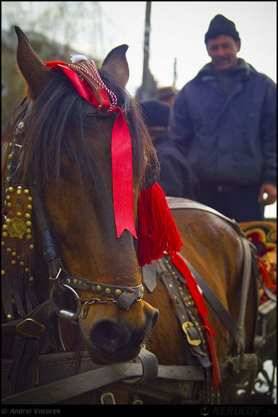 andrei_vocurek_kerucov_orasul_ro_targoviste_tudorita_04